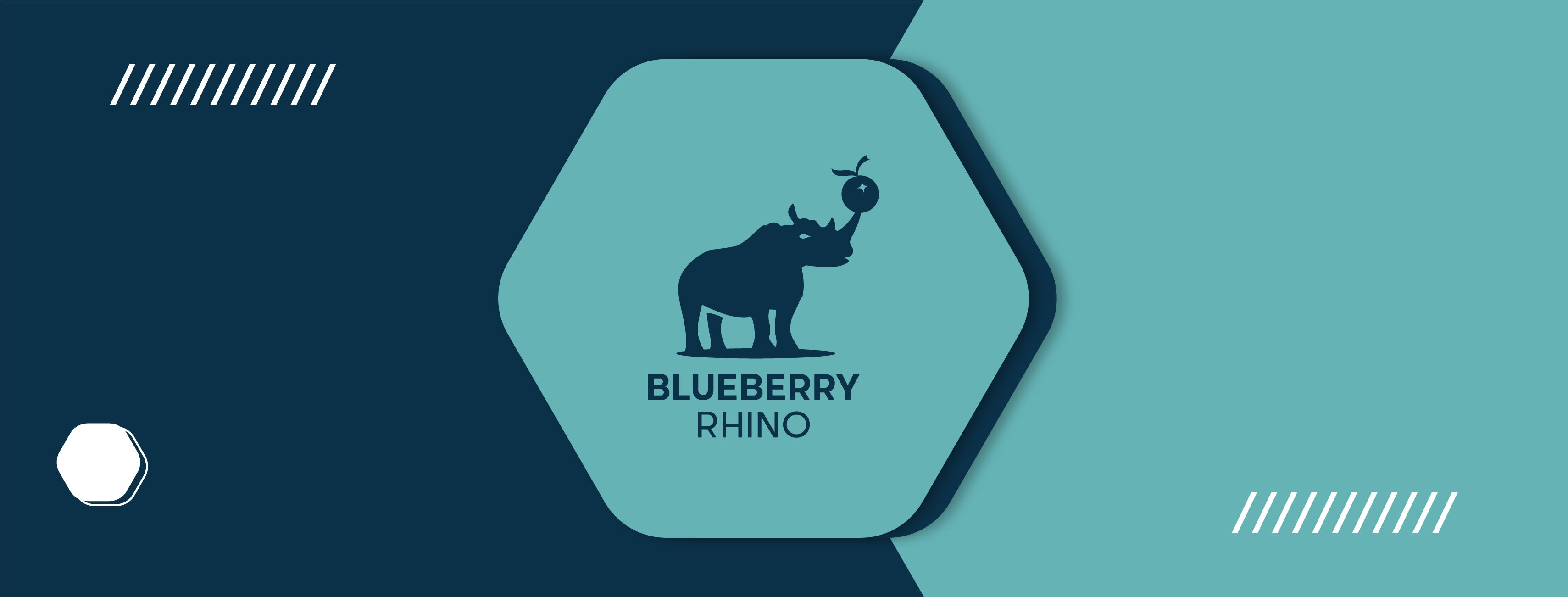 About Us – Blueberry Rhino